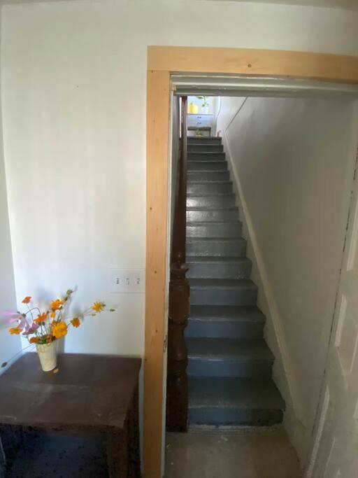 Studio Apt W Garden Кингстон Экстерьер фото